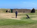 IMG 3341