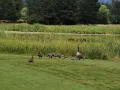 IMG 1367
