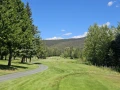 IMG 1484